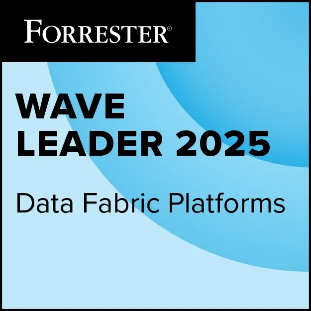 2025 Forrester Wave 데이터 패브릭 플랫폼 리더 이미지